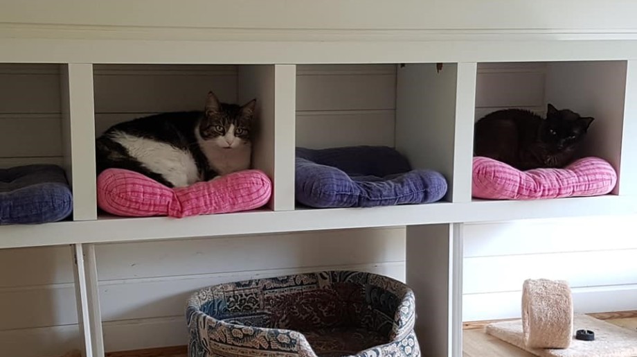 Dierenpension Ex-Kuus Casteren afbeelding 2